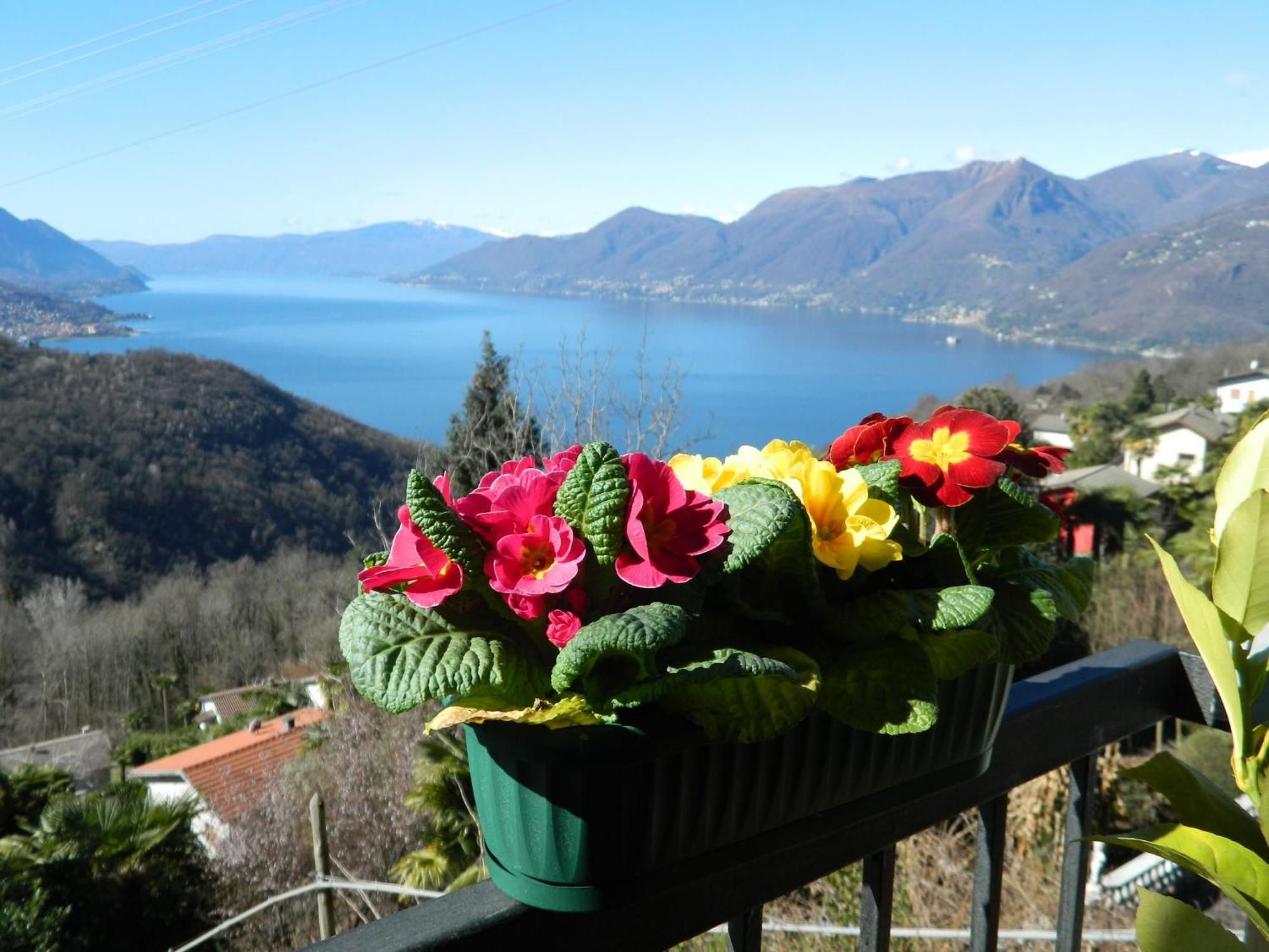 Lago Maggiore Holiday House, Lake View, Vignone Dumenza Exterior foto